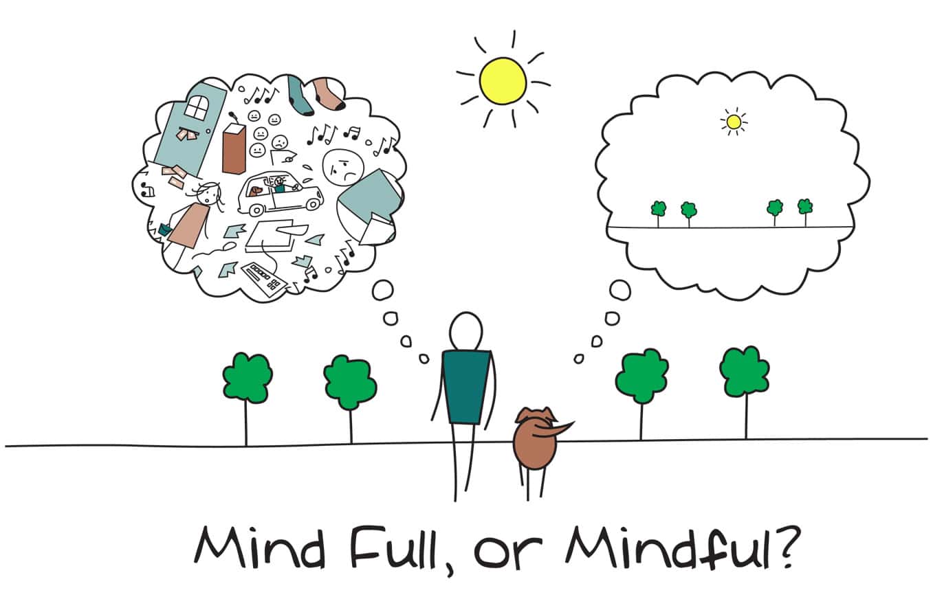 Mindfulness como filosofía de vida