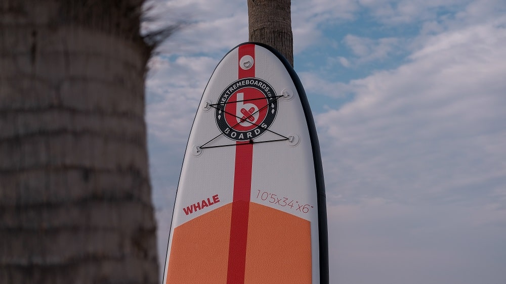 tabla paddle surf bextreme whale